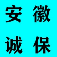 安徽誠保汽車服務有限責任公司